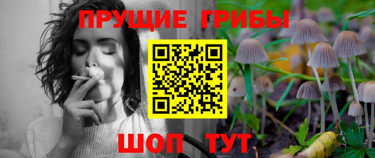 Гусь-Хрустальный  Галлюциногенные грибы MAGIC MUSHROOMS  Вход с VPN 