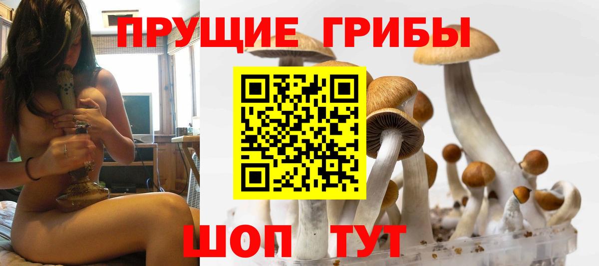 Псилоцибиновые грибы MAGIC MUSHROOMS Гусь-Хрустальный